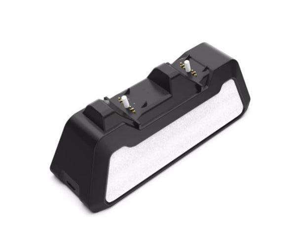 PS Fast Dual Dock Charger